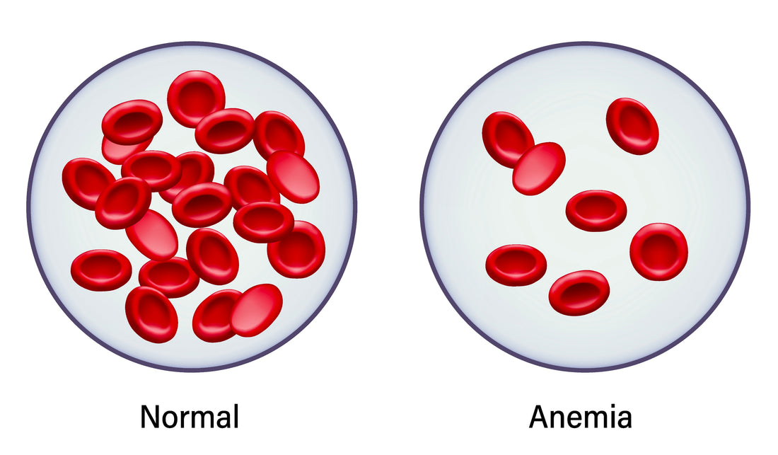 Iron supplementation for prolonged altitude exposure