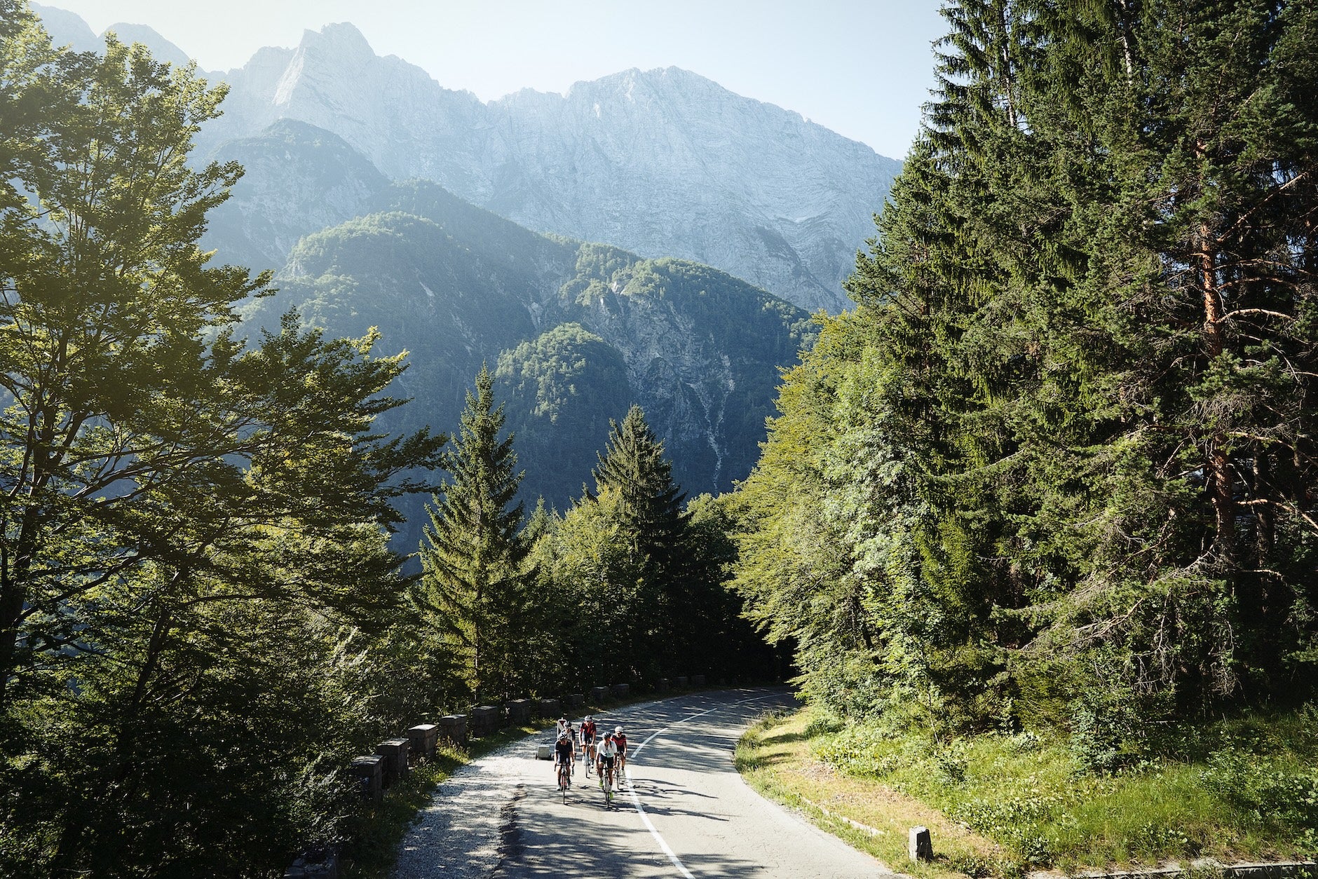 Two cyclists on a mountain road surrounded by trees and mountains